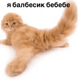 🌟 emoji мнє похуй я в гармонии Telegram sticker 5 of 79