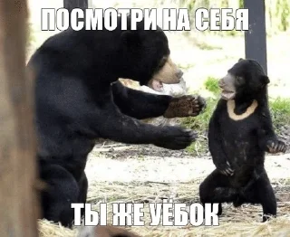 🌟 emoji мнє похуй я в гармонии Telegram sticker 24 of 79