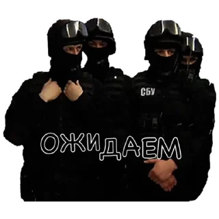 💀 emoji Служба Безопасности Картеля Telegram sticker 5 of 15