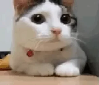 🌟 emoji Во! Telegram sticker 24 of 120