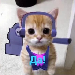 👓 emoji НУЖНЫ ДЕТИ В БРАВЛ СТАРСЕ🎮🔫 Telegram sticker 13 of 120