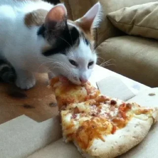 🍕 emoji китики by @emivite Telegram sticker 15 of 36