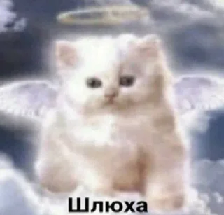 Sticker from ода доза