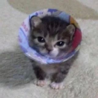Sticker from Котявы