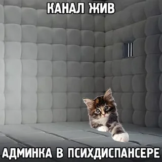 🌟 emoji ода доза Telegram sticker 23 of 33