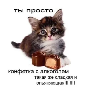 Sticker from котёнки