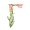 🤩 emoji ꒰8 March꒱     by @mitorytg Telegram sticker 6 of 141