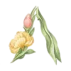 🤩 emoji ꒰8 March꒱     by @mitorytg Telegram sticker 17 of 141