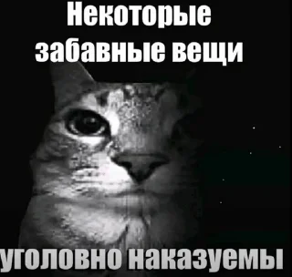 🌟 emoji Пикчи тт Telegram sticker 23 of 65