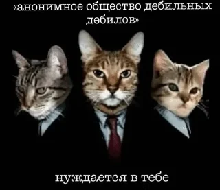 🌟 emoji Пикчи тт Telegram sticker 14 of 65