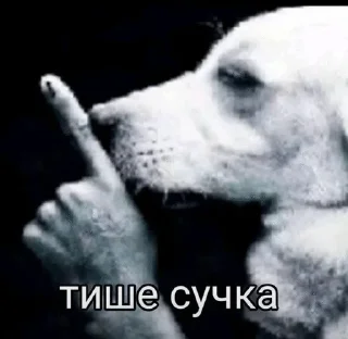 🌟 emoji Пикчи тт Telegram sticker 20 of 65