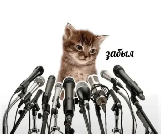 🌟 emoji Пикчи тт Telegram sticker 7 of 65