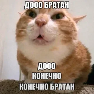 😂 emoji шкоLolo Telegram sticker 21 of 60