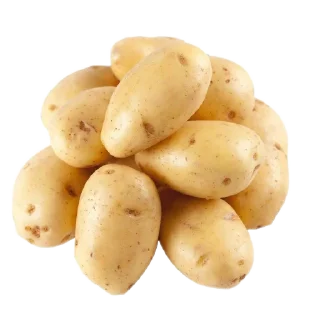 🍲 emoji Пятёрочка 1.1 /от СПБстик/ Telegram sticker 10 of 86