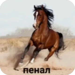 🫥 emoji Стая Telegram sticker 14 of 49