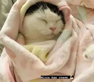 🌟 emoji Місса ідішин<3 Telegram sticker 7 of 120