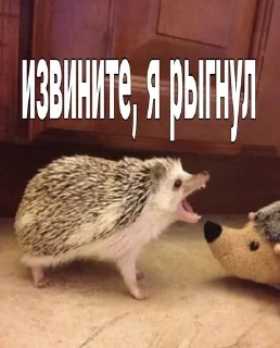 😔 emoji Ежи выебут тебя Telegram sticker 8 of 24