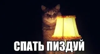 🌚 emoji СПОКОЙНОЙ НОЧИ, СУЧКИ Telegram sticker 10 of 18