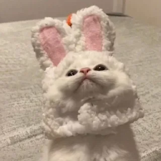 🌟 emoji котейки? Telegram sticker 15 of 31