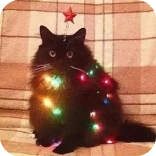 🎄 emoji Котенки @djieo @korpups Telegram sticker 10 of 80