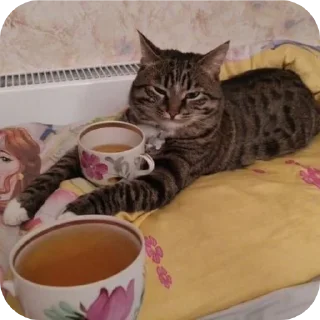 😊 emoji Котенки @djieo @korpups Telegram sticker 11 of 80