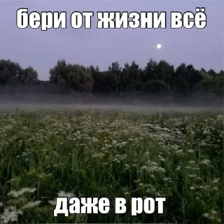 🌟 emoji Щп вхитееее Telegram sticker 10 of 50