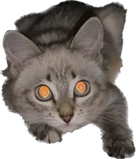 🌟 emoji Мун и дед Telegram sticker 12 of 34