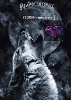 💓 emoji Каспийский волк Telegram sticker 23 of 34