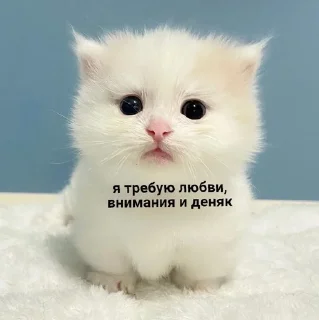 💰 emoji чоч by @flopka Telegram sticker 9 of 17