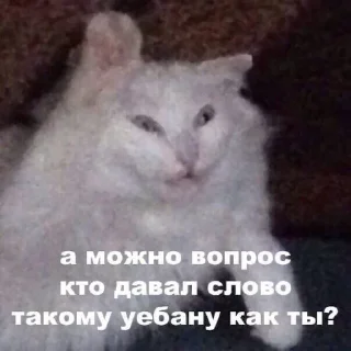 🤨 emoji чоч by @flopka Telegram sticker 11 of 17