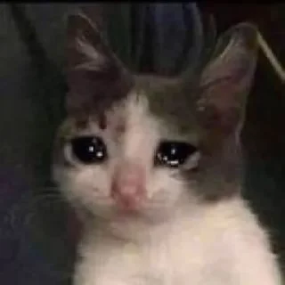 😭 emoji Для лучшего чата Telegram sticker 20 of 26