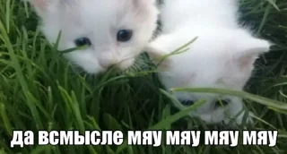 🌟 emoji клейный жар Telegram sticker 14 of 100