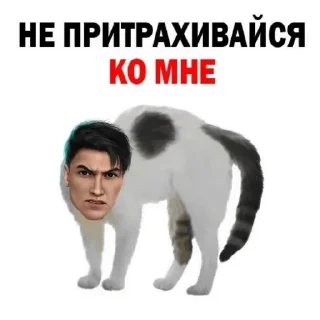 😡 emoji романсе клаб Telegram sticker 22 of 73