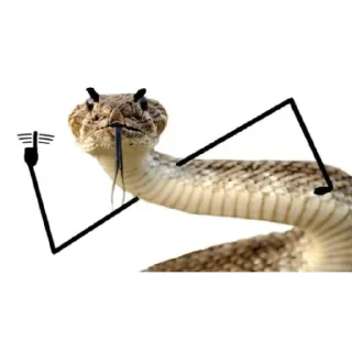🐍 emoji У нас есть ручки :D Telegram sticker 13 of 55