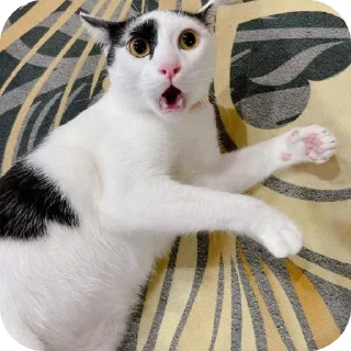 😩 emoji 🫶🫶🫶 Telegram sticker 12 of 52