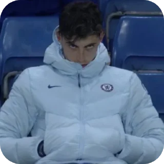 🧥 emoji Chelsea Telegram sticker 21 of 49