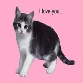 ❤️‍🔥 emoji головка путина Telegram sticker 20 of 119