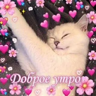 😴 emoji головка путина Telegram sticker 18 of 119