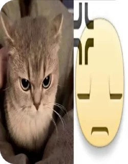🌟 emoji мили котеке Telegram sticker 5 of 23