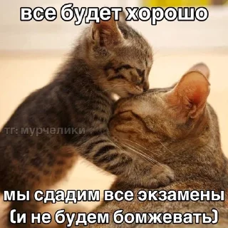 💋 emoji от мирки💋 Telegram sticker 18 of 98
