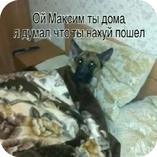 🐱 emoji нарко витаминки Telegram sticker 20 of 119
