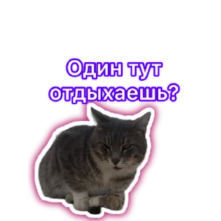 🌟 emoji Адд Telegram sticker 6 of 42