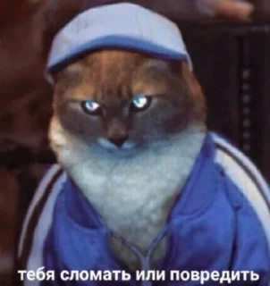😡 emoji завали ебальник Telegram sticker 15 of 83