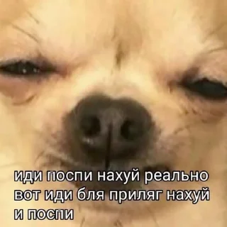 🌟 emoji всратые картинки Telegram sticker 6 of 82