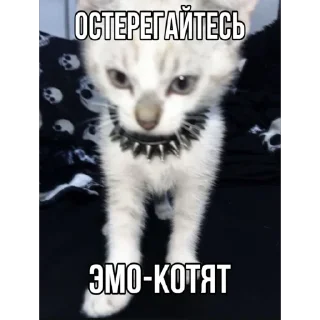 😈 emoji НямНяш Торри:: @sakura_636 Telegram sticker 6 of 58