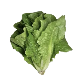 🥦 emoji Кстати Telegram sticker 18 of 91