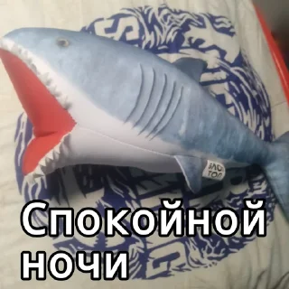 💤 emoji Акула @bloptop Telegram sticker 17 of 20
