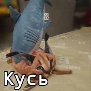 🦷 emoji Акула @bloptop Telegram sticker 19 of 20