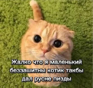 🌟 emoji Анти русляндия Telegram sticker 8 of 32