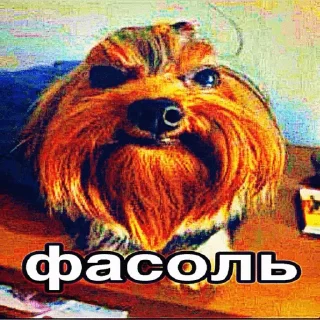 🤩 emoji сырун @TgEmodziBot Telegram sticker 14 of 120